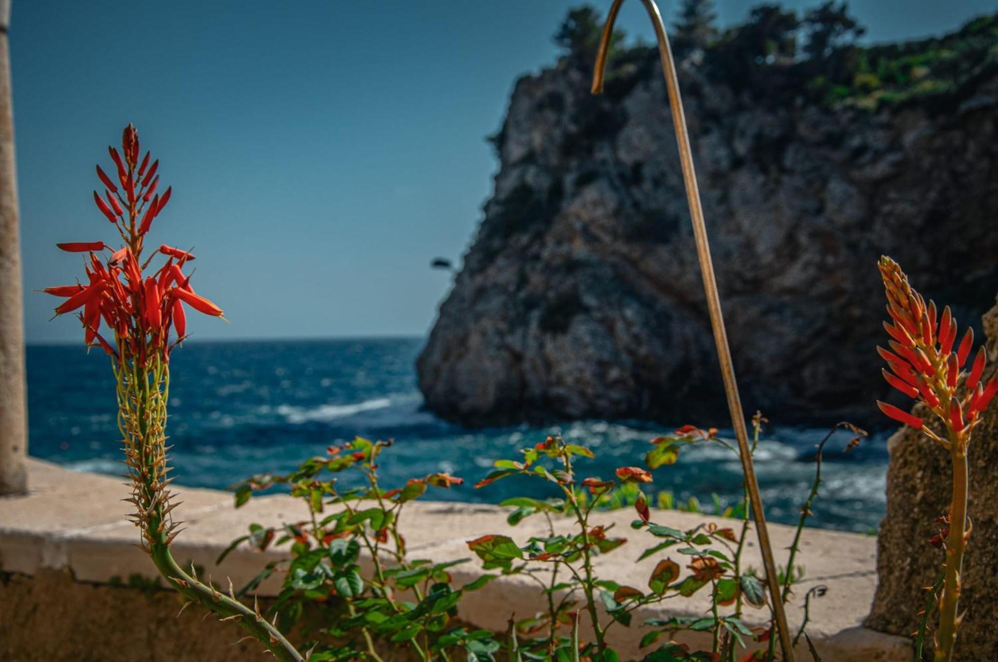 Apartment Sulic Ντουμπρόβνικ Εξωτερικό φωτογραφία